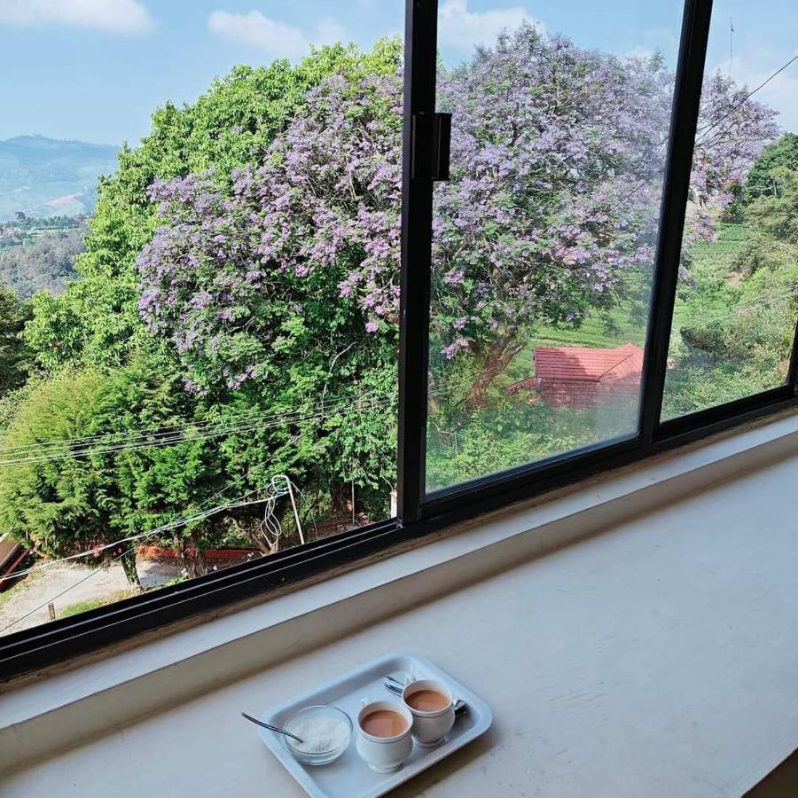 לינה וארוחת בוקר קונור Camellia Heights 1&2 מראה חיצוני תמונה